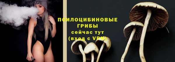 эйфоретик Алексин
