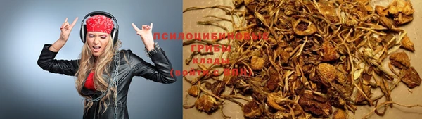 винт Пестово
