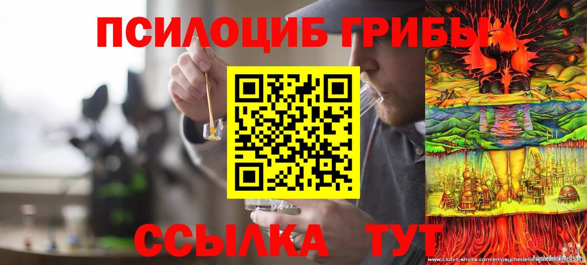 Галлюциногенные грибы Psilocybine cubensis  Вход с VPN  Чусовой  Галлюциногенные грибы мицелий 