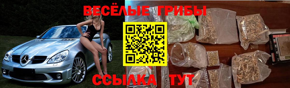 Псилоцибиновые грибы MAGIC MUSHROOMS Чусовой